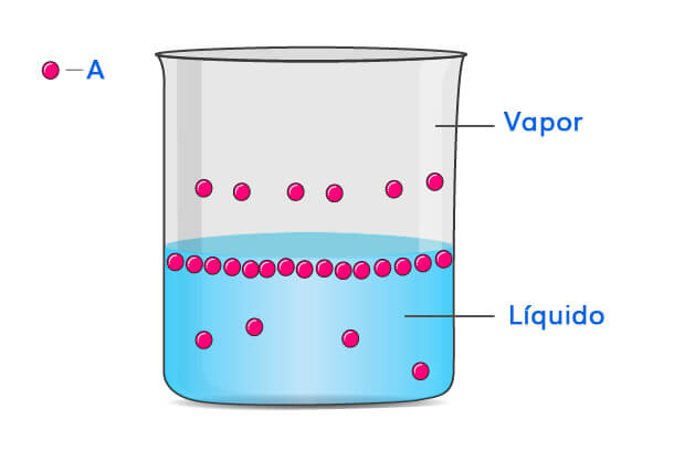 ley de raoult particulas de vapor